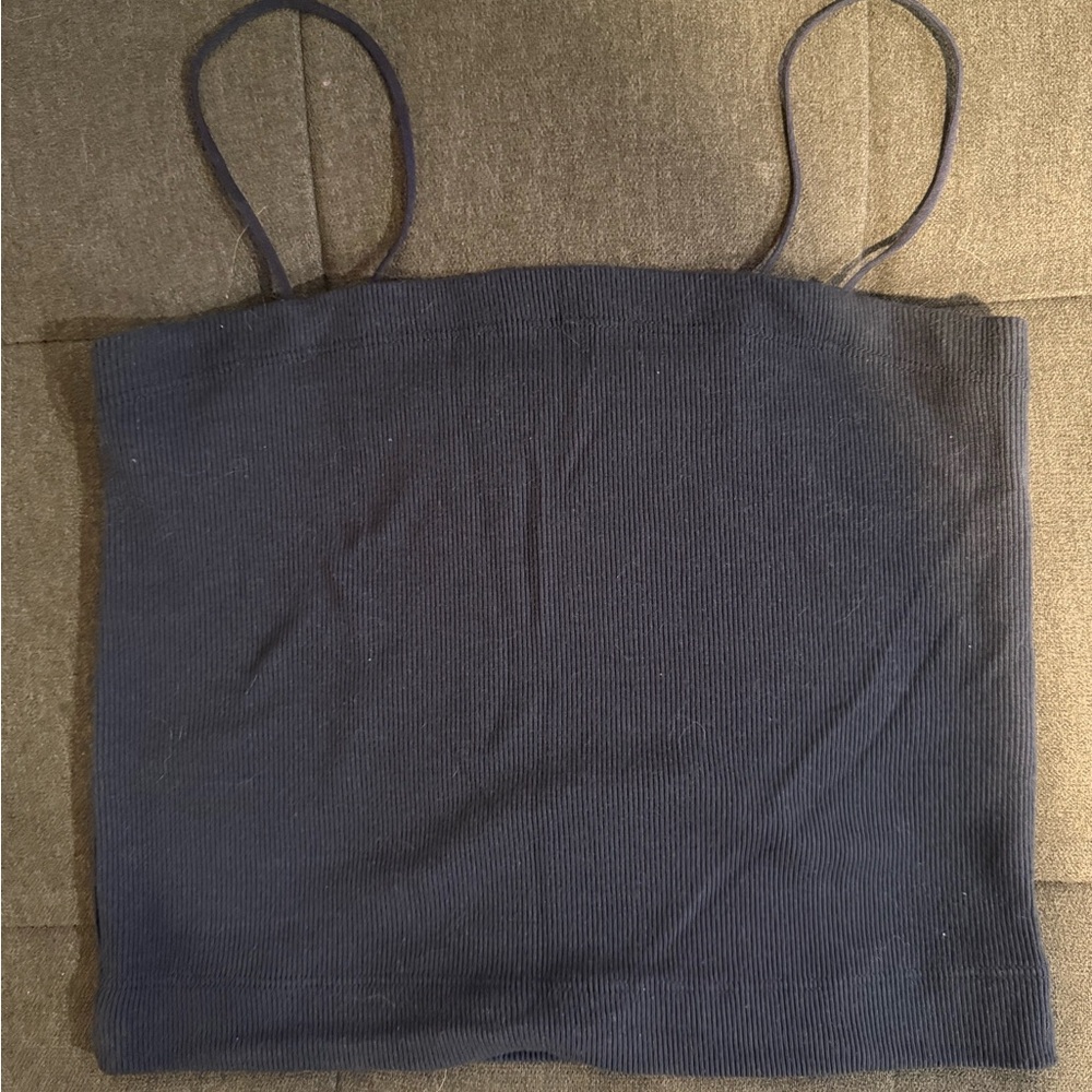 American Eagle Outfitters Blue Sleeveless Crop Camisole